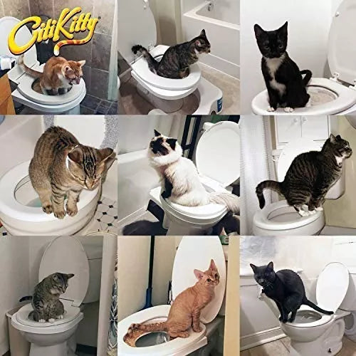 Entrenador De Baño Para Gatos City Kitty